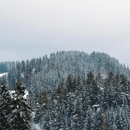 In Near Harz Mountains, Cleaning Included * Альтенау