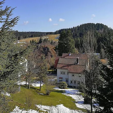 In Near Harz Mountains, Cleaning Included