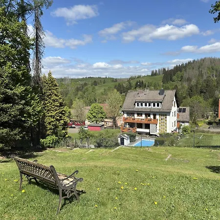 In Near Harz Mountains, Cleaning Included